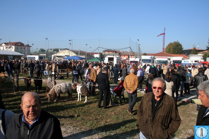 Fiera del lunedì (455).JPG